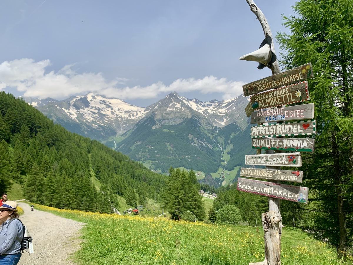 Alpine meadow and snow-capped peaks in Austria