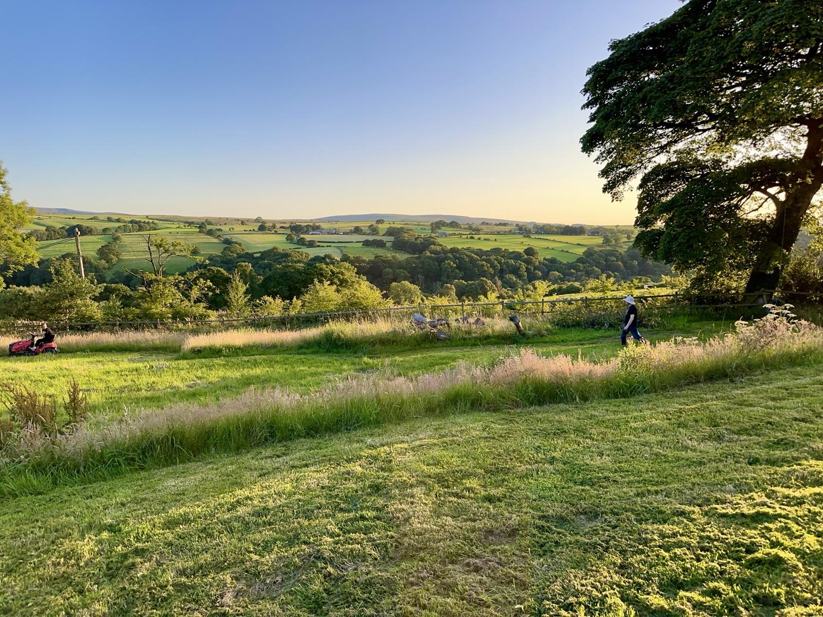 Golden-hour countryside garden at home