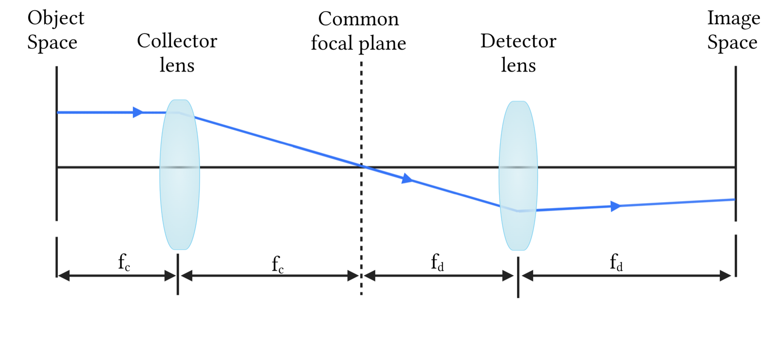 Telecentric optical relay layout for simultaneous fluorescent and brightfield imaging