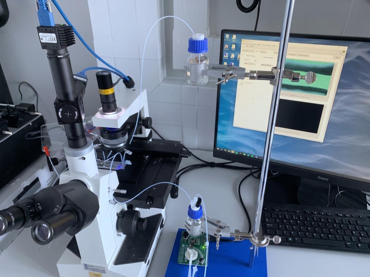 Lab bench: an inverted microscope with LED illumination and a camera imaging the microfluidic chip on the stage, with the live LabVIEW view on a monitor